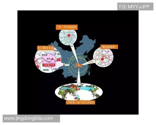 未来智能体育生活的蓝图：彩神Vll引领的创新与变革之路
